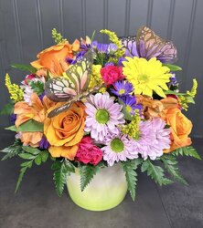 Butterfly Garden Davenport Florist - Same Day Flower Delivery - Flower Power 